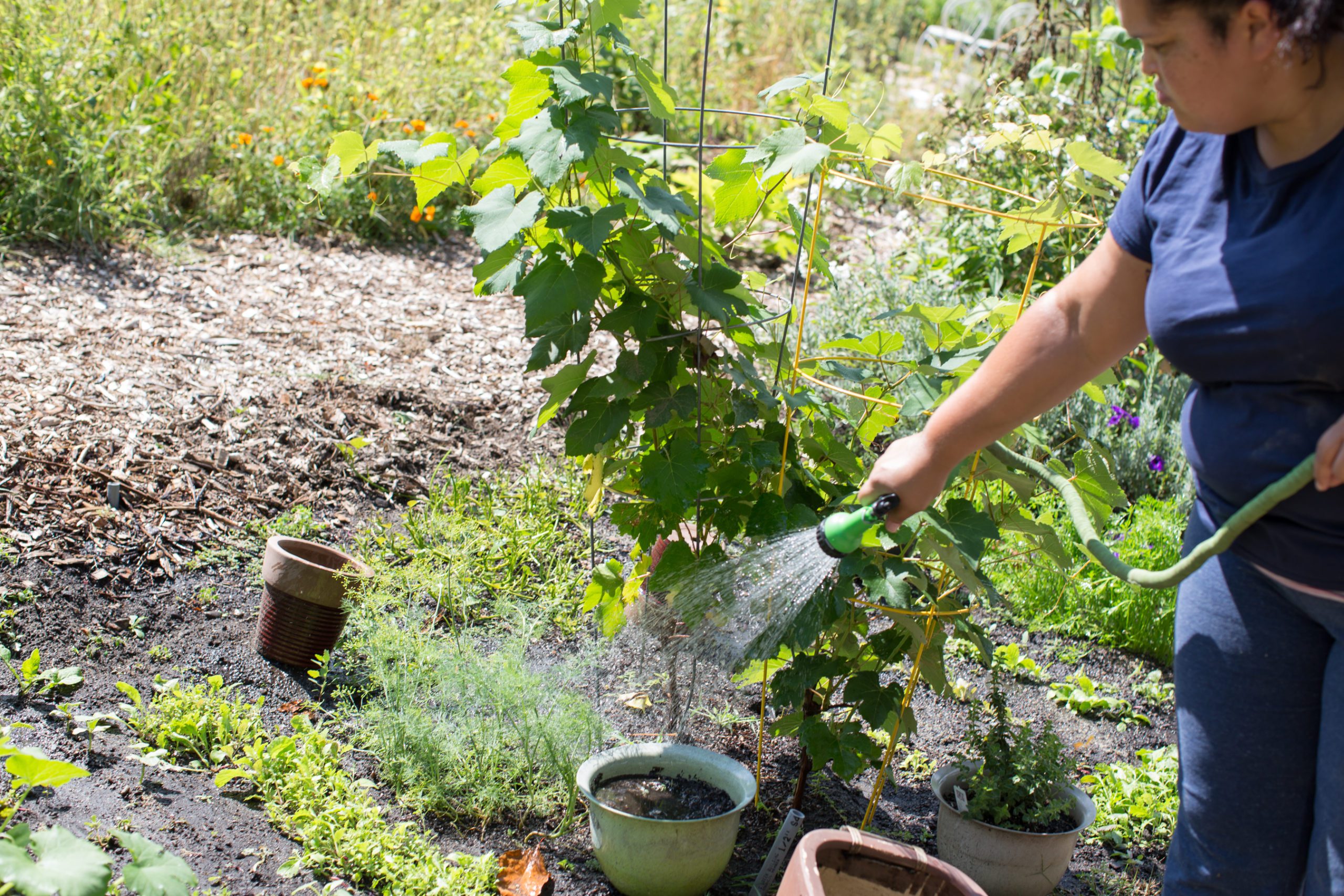 A woman waters plants in a garden with a hose, surrounded by greenery and potted plants.