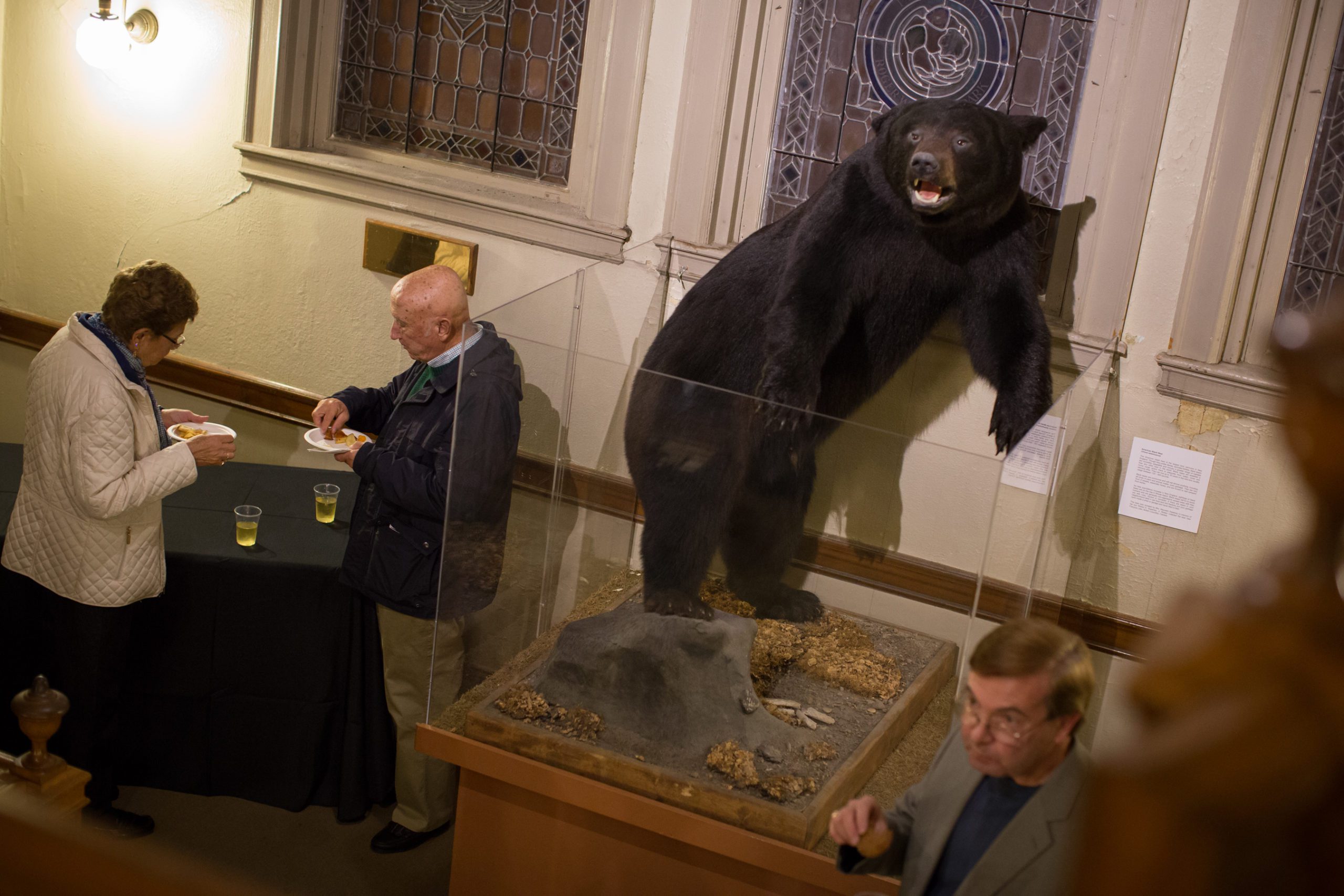 An elderly couple eats near a black bear exhibit in a museum, with drinks on a table. Stained glass windows adorn the background.