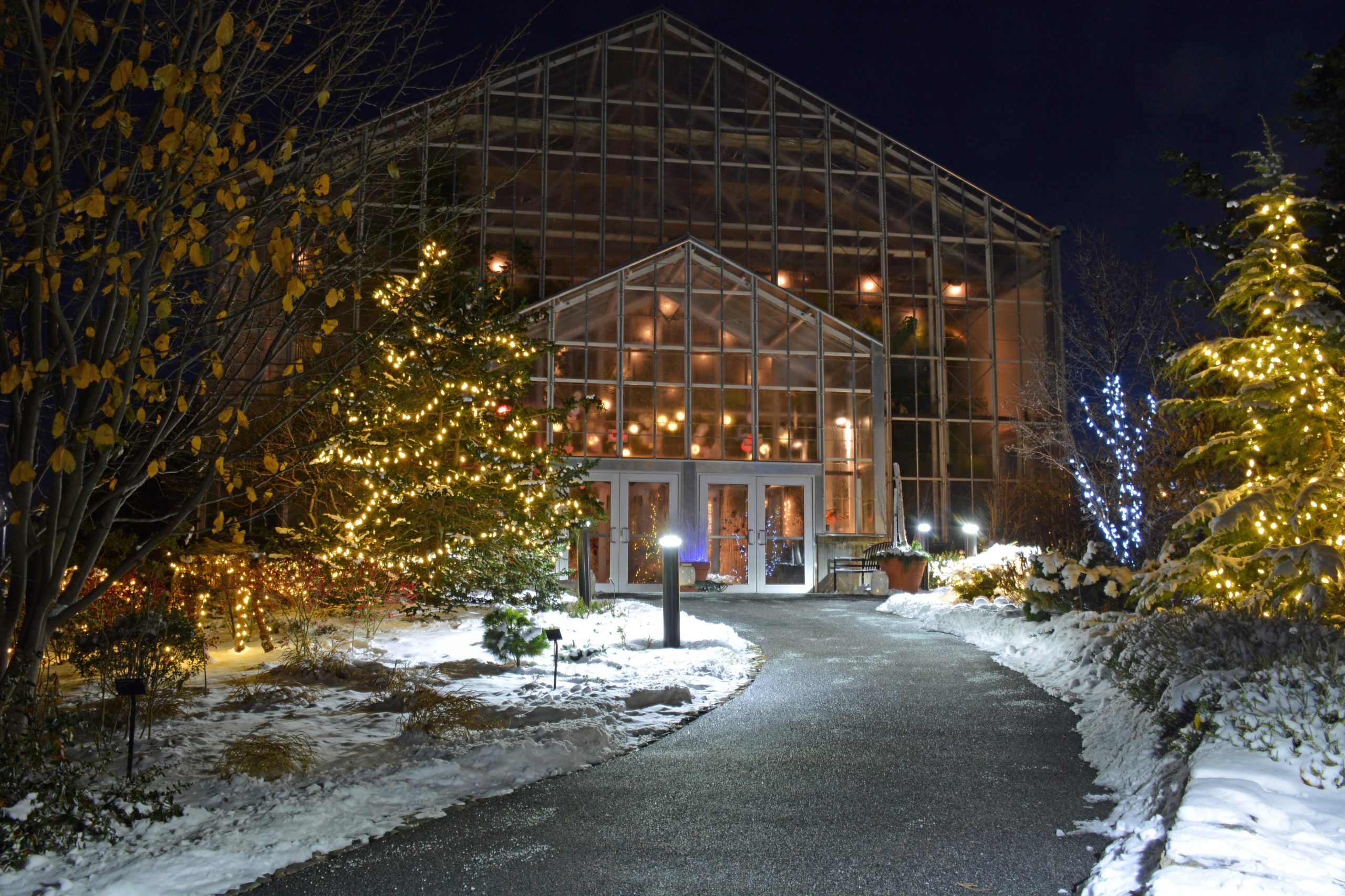 A snow-covered path leads to a warmly lit greenhouse adorned with festive string lights, surrounded by illuminated trees at night.