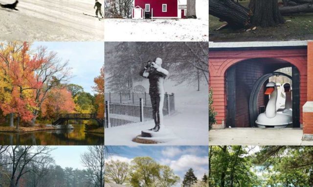 Nine scenic images: winter sledding, a red barn in snow, a broken tree, colorful autumn foliage by a pond, a snow-covered statue, a swan boat in a boathouse, a bridge over a tranquil stream, a historic building with spring blossoms, and a wooded path by a lake.