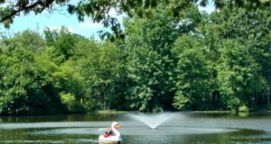 A swan-shaped paddle boat floats on a lake near a fountain, surrounded by lush green trees under a clear blue sky.