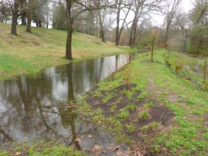 A flooded grassy area with trees and shrubs, reflecting in the water on a cloudy day.