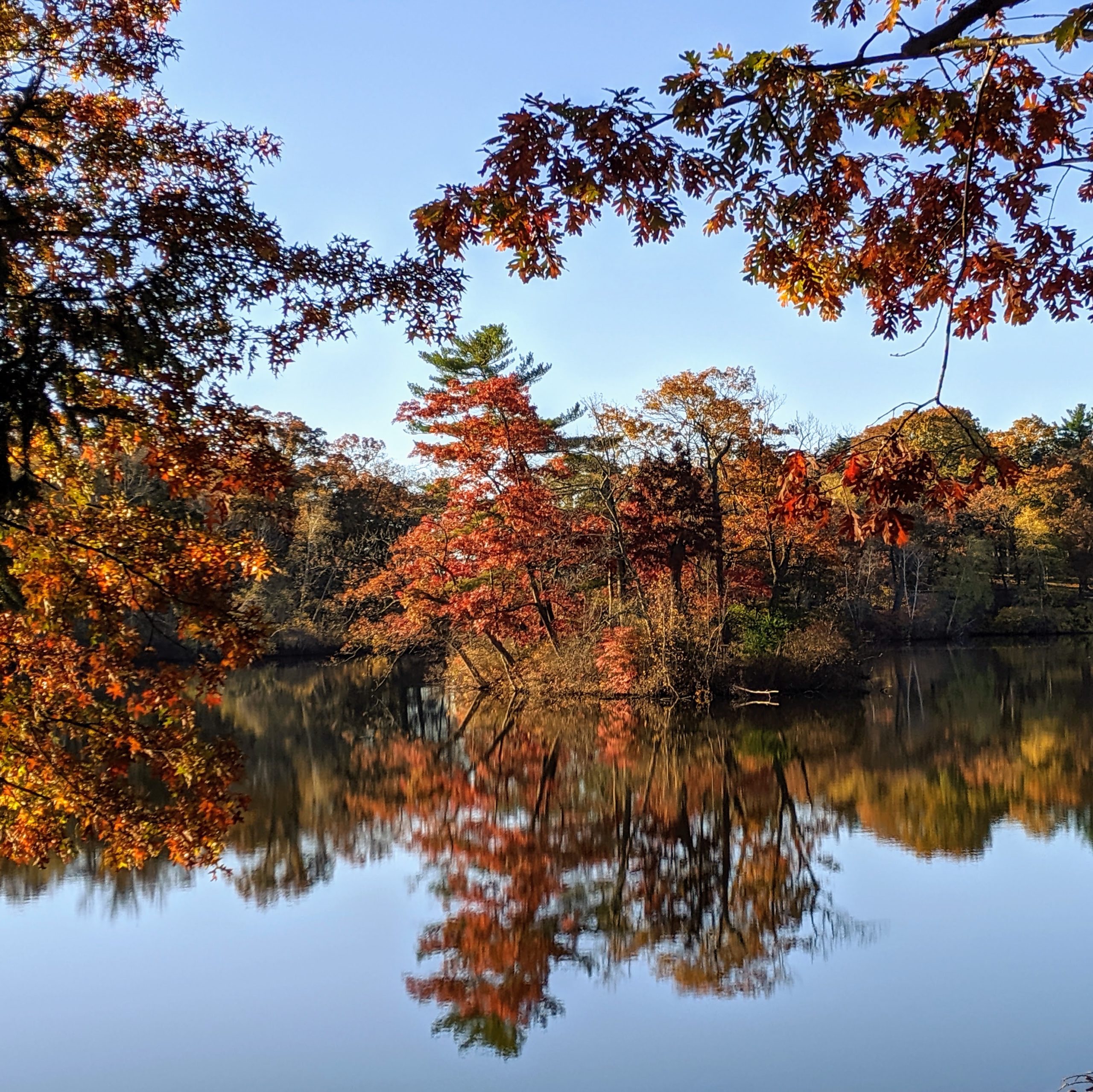 Autumn foliage with vibrant red and orange leaves reflects on a calm lake under a clear blue sky.
