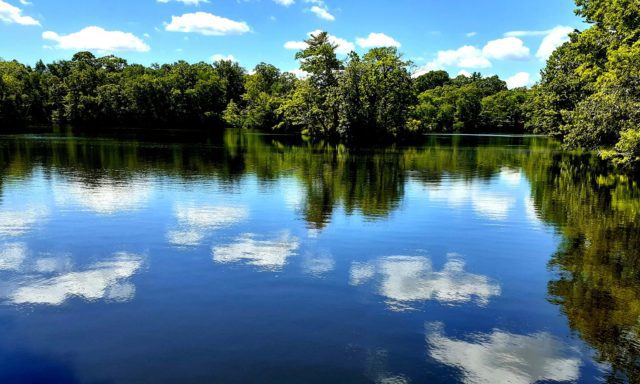 A tranquil pond in a park reflects fluffy clouds and lush green trees under a bright blue sky.
