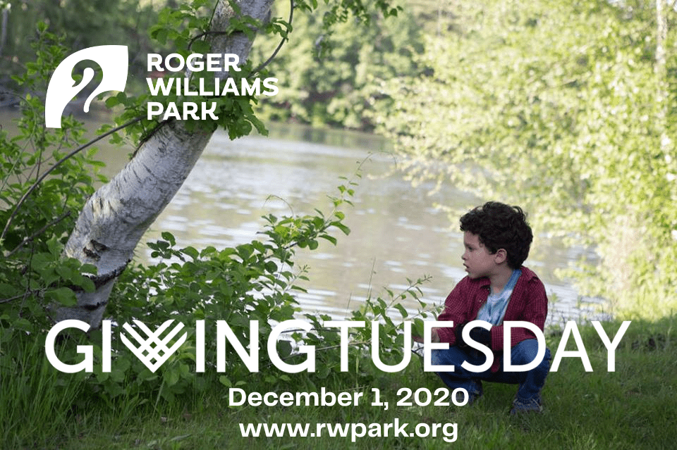 A child sits by a lake surrounded by trees at Roger Williams Park. Text reads: "Giving Tuesday, December 1, 2020, www.rwpark.org."