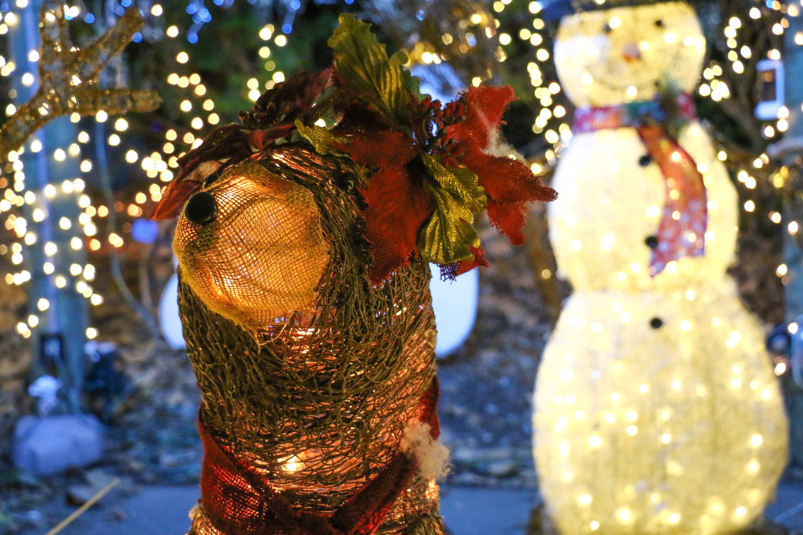 Festive holiday display featuring a lit reindeer adorned with red and green leaves in the foreground, and a glowing snowman in the background.