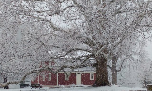 A large tree covered in snow stands in front of the red BWC building, creating a picturesque winter scene.