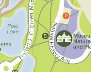Map section showing Polo Lake, Frederick C Green Memorial, and Museum of Natural History and Planetarium on Natural History Ave.