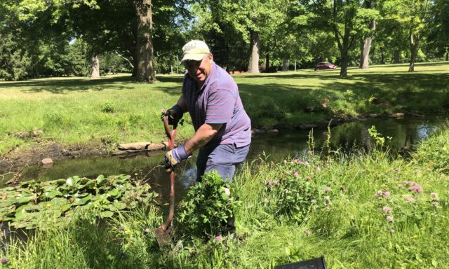 A man wearing a striped shirt and cap is gardening by a pond, surrounded by lush greenery and flowers under a sunny sky.