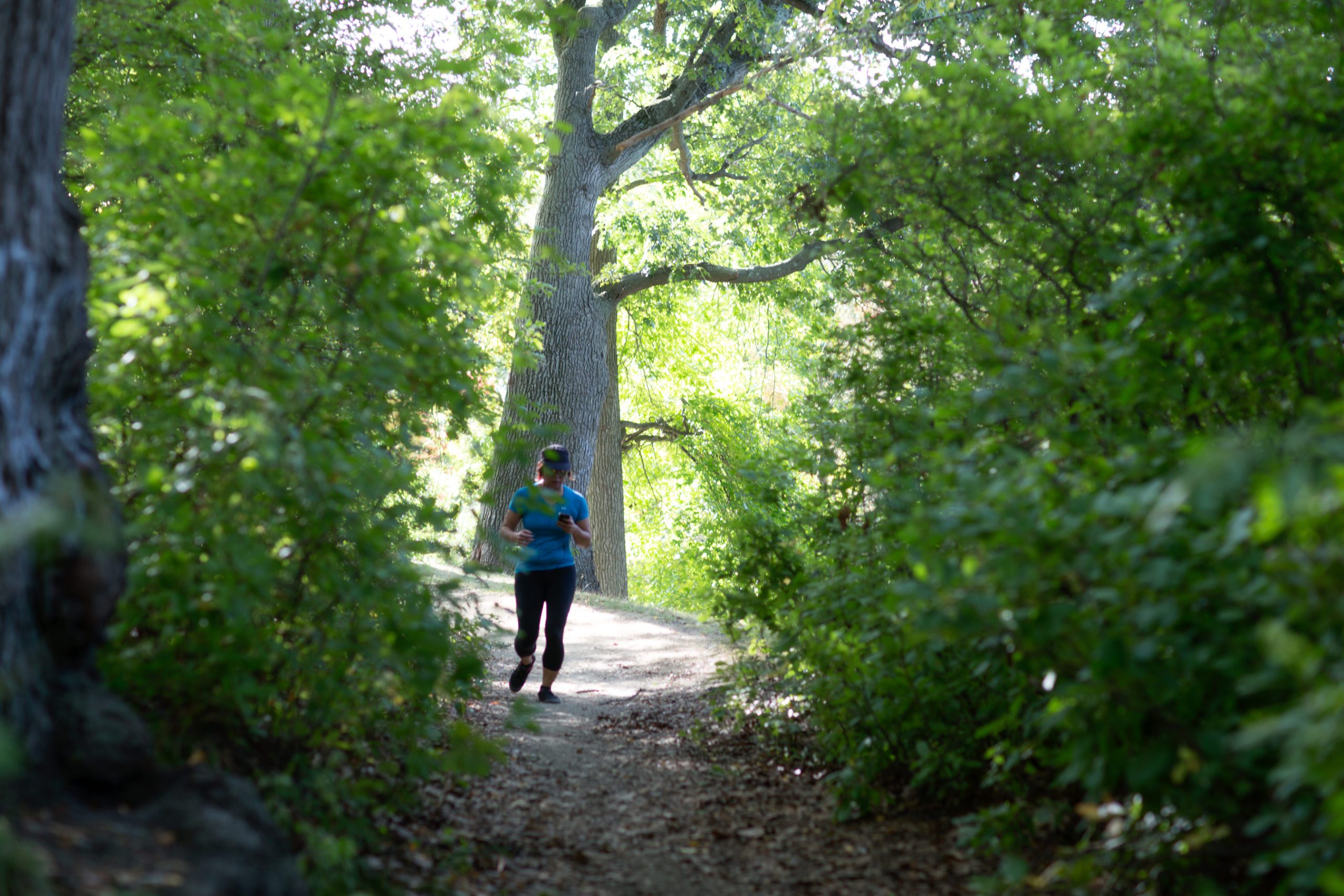 A person in a blue shirt and cap runs along a shaded, leafy trail with sunlight filtering through the trees.