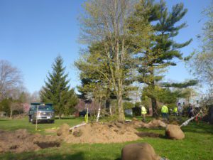 A group of workers in bright clothing plant trees in a grassy area. A truck is parked nearby, and the sky is clear and blue.