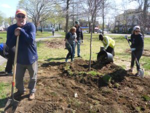 A group of people are working together in a park, planting a tree. One person leans on a shovel, while others spread soil and mulch.