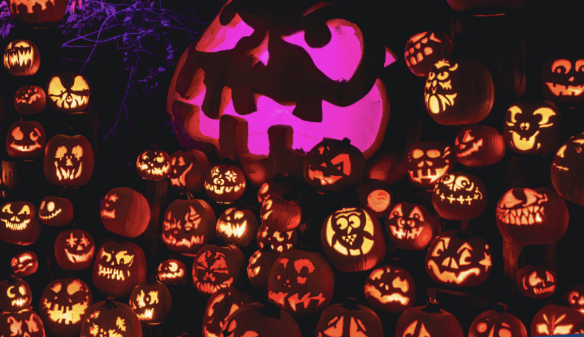 A large display of glowing jack-o'-lanterns with various carved faces, illuminated in orange and purple against a dark background.