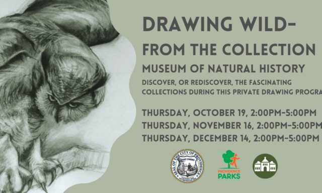 "Drawing Wild—From the Collection" at the Museum of Natural History. Discover collections in a private drawing program. Dates: October 19, November 16, December 14, 2:00PM–5:00PM. Logos: City of Providence, Providence Parks. Sketch of an owl included.