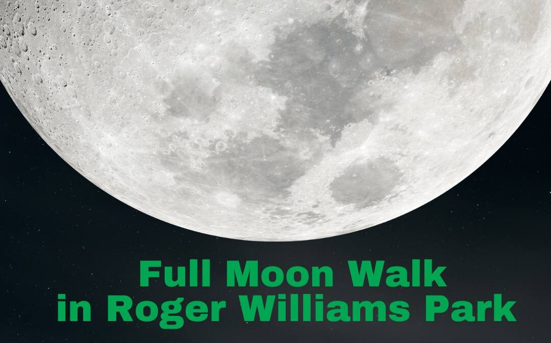 Full moon with text: "Full Moon Walk in Roger Williams Park."