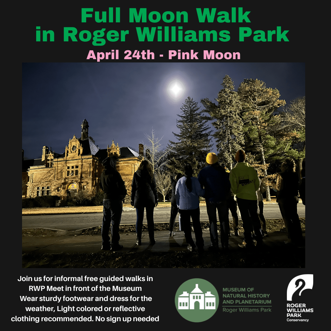 Full Moon Walk at Roger Williams Park on April 24th during the Pink Moon. Participants gather under a bright moonlit sky.