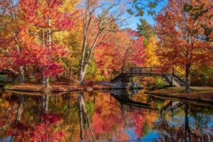 A scenic view of fall foliage in Providence, Rhode Island, with vibrant red, orange, and yellow trees reflected in a calm pond, under a clear blue sky. A small bridge crosses the water.