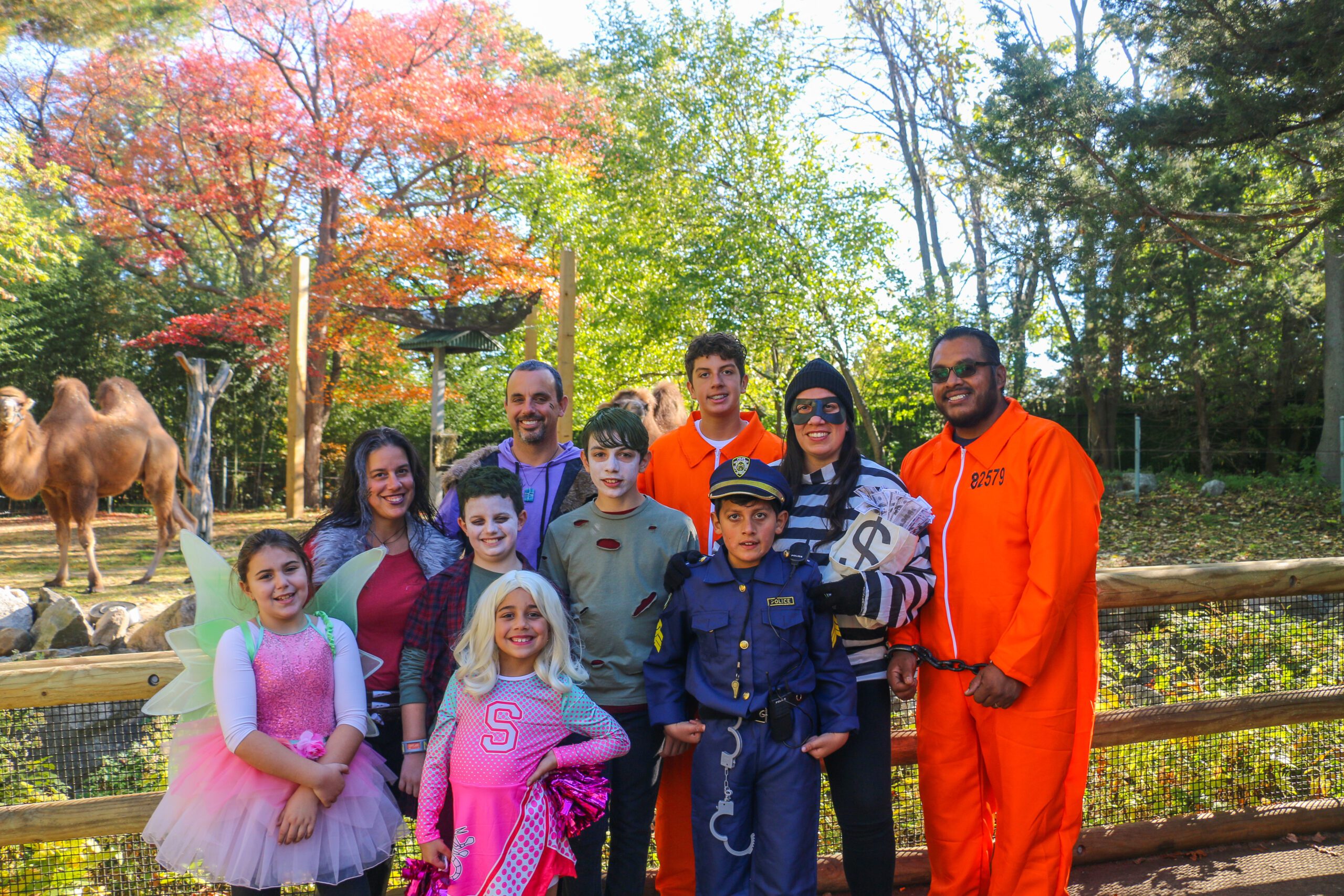 A group of people in Halloween costumes, including a fairy, police officer, and prisoner, pose in front of a camel at the zoo.