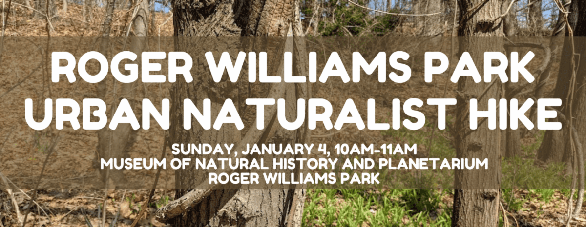 Copy of Copy of Copy of Copy of Copy of Copy of GEOLOGY ROCKS 2023 _1_