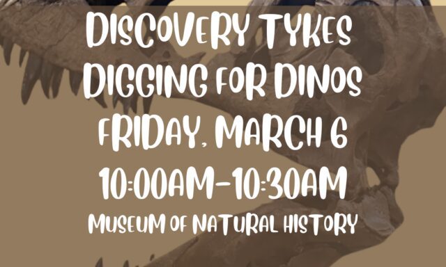 Tyrannosaurus rex skull with event details for "Discovery Tykes: Digging for Dinos" at the museum.