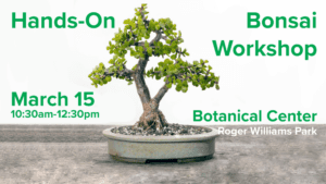 Bonsai tree in a pot with workshop details for March 15 at Roger Williams Park Botanical Center.