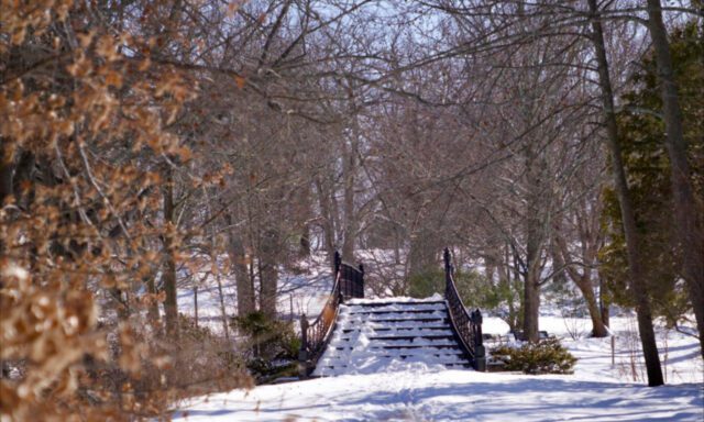 A snow-covered path leads to a bridge surrounded by bare trees.