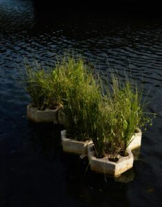 BIOPODS with various plants float on water in Roosevelt Lake, surrounded by rippling water.