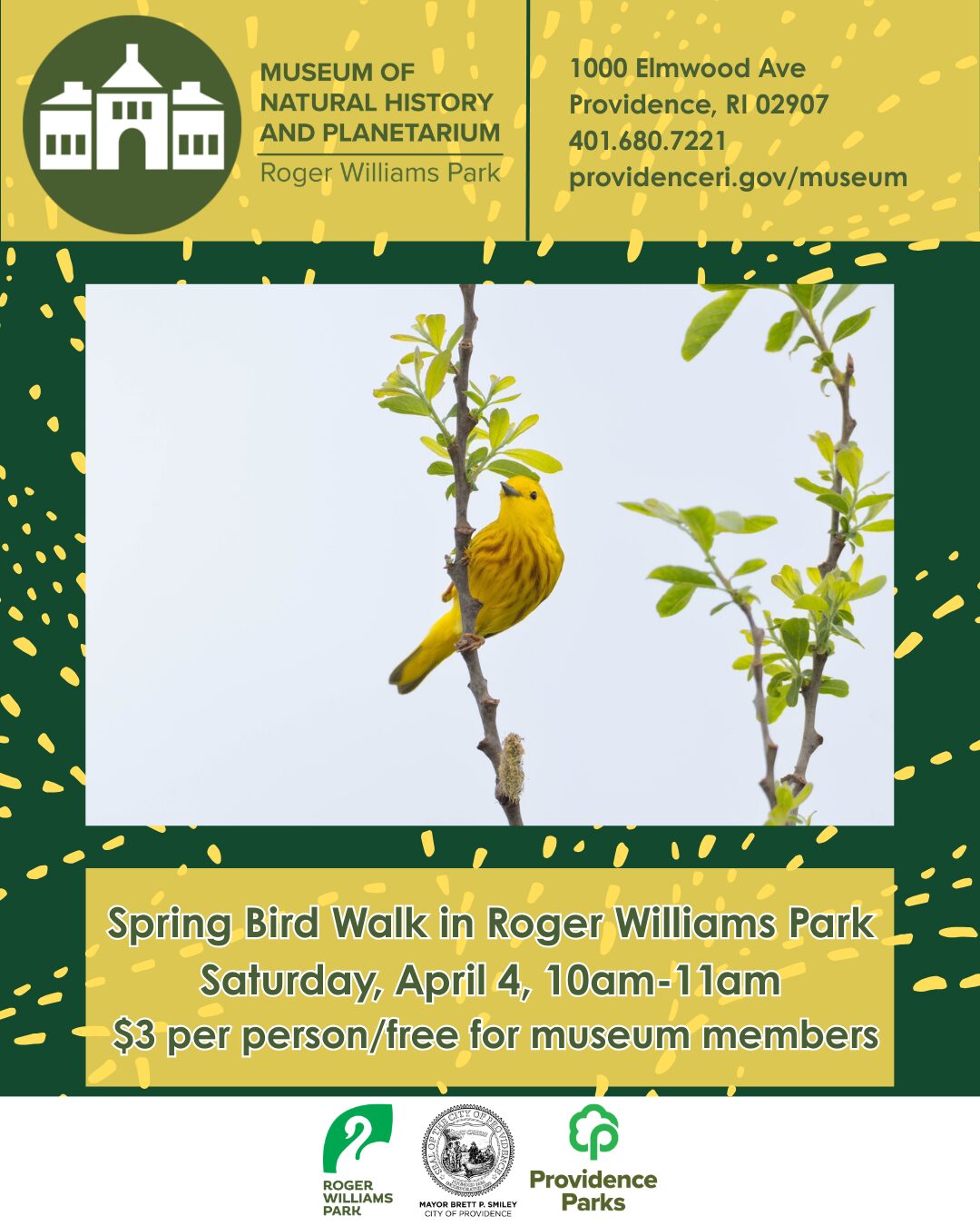 A yellow bird perches on a branch among green leaves, promoting a spring bird walk event.
