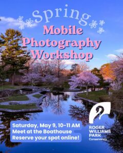 Spring photography workshop details with a scenic park view, cherry blossoms, and a tranquil pond.
