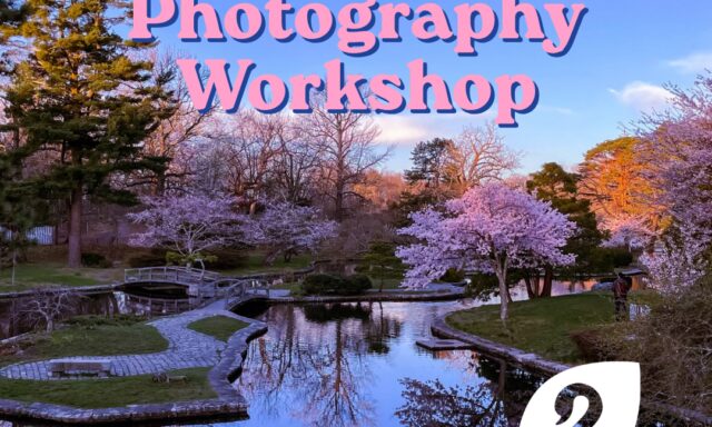 Spring photography workshop details with a scenic park view, cherry blossoms, and a tranquil pond.