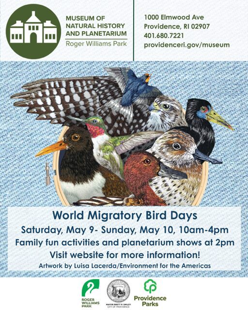 Promotional poster for World Migratory Bird Days featuring various bird illustrations and event details.