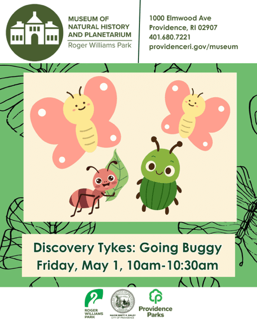 Two butterflies, an ant, and a green bug on a leaf, promoting a children's event about insects.