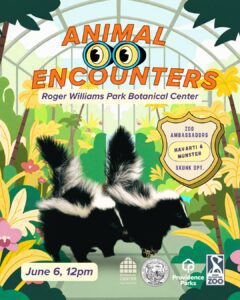 Two skunks with black and white fur stand in a colorful botanical setting, promoting an animal encounter event.