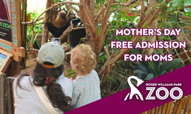 A woman and child watch a sloth at the zoo, with a sign promoting Mother's Day admission.