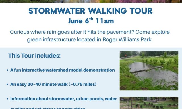 Promotional flyer for a Stormwater Walking Tour at Roger Williams Park, highlighting activities and details.
