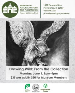 Promotional poster for "Drawing Wild" event at the Museum of Natural History, featuring an owl illustration.