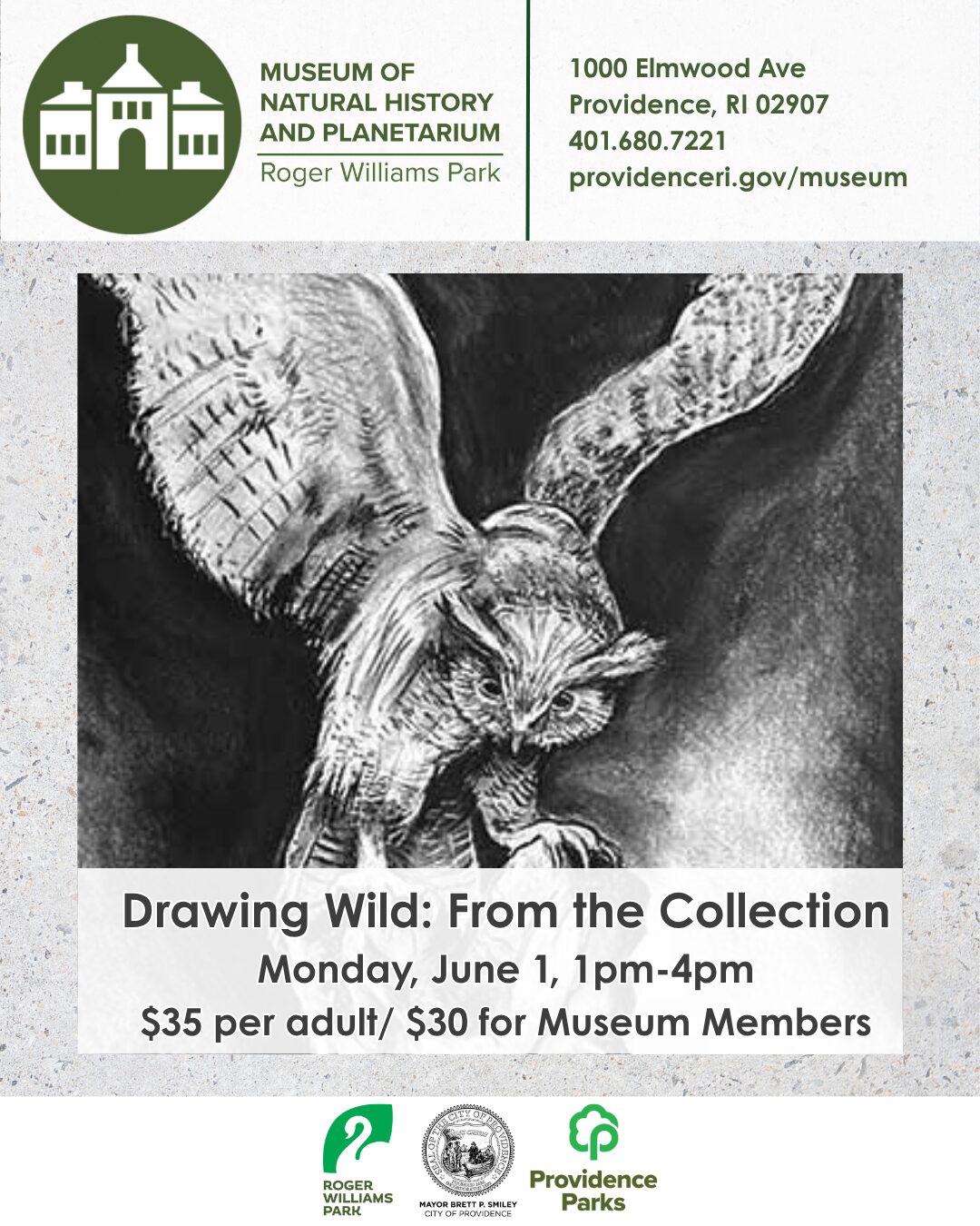 Promotional poster for "Drawing Wild" event at the Museum of Natural History, featuring an owl illustration.