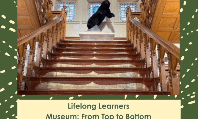 A bear statue stands on a pedestal at the top of a wooden staircase in a museum.
