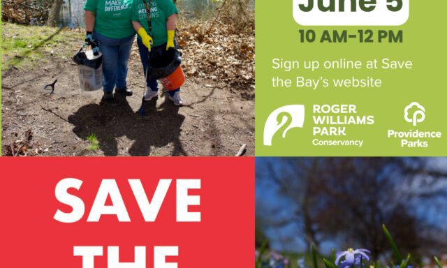 Two women in green shirts hold cleanup supplies by a pond, promoting a park cleanup event. Spring flowers bloom nearby.