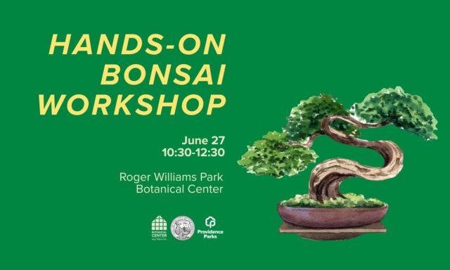 Bonsai tree illustration with workshop details for June 27 at Roger Williams Park Botanical Center.