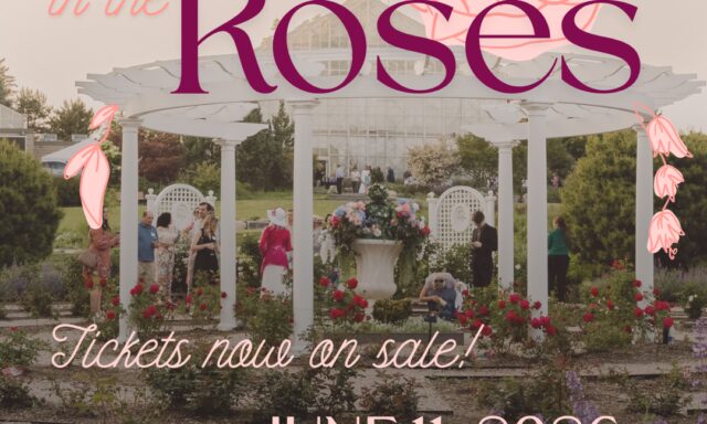 People gather in a rose garden, enjoying the event "Rosé in the Roses" at a botanical park.