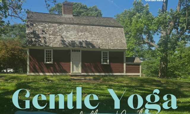 Gentle yoga session announcement outside Betsey Williams Cottage, with a yoga mat on the grass.