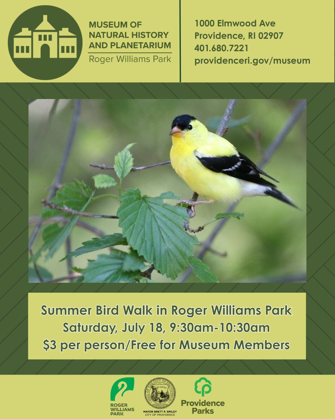 A yellow bird perched on green leaves, promoting a summer bird walk event at Roger Williams Park.