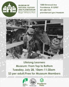 Owls and other birds displayed in a museum setting, promoting a Lifelong Learners event.
