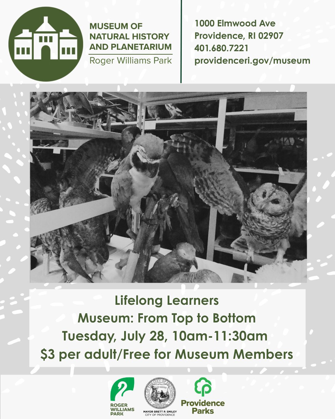 Owls and other birds displayed in a museum setting, promoting a Lifelong Learners event.