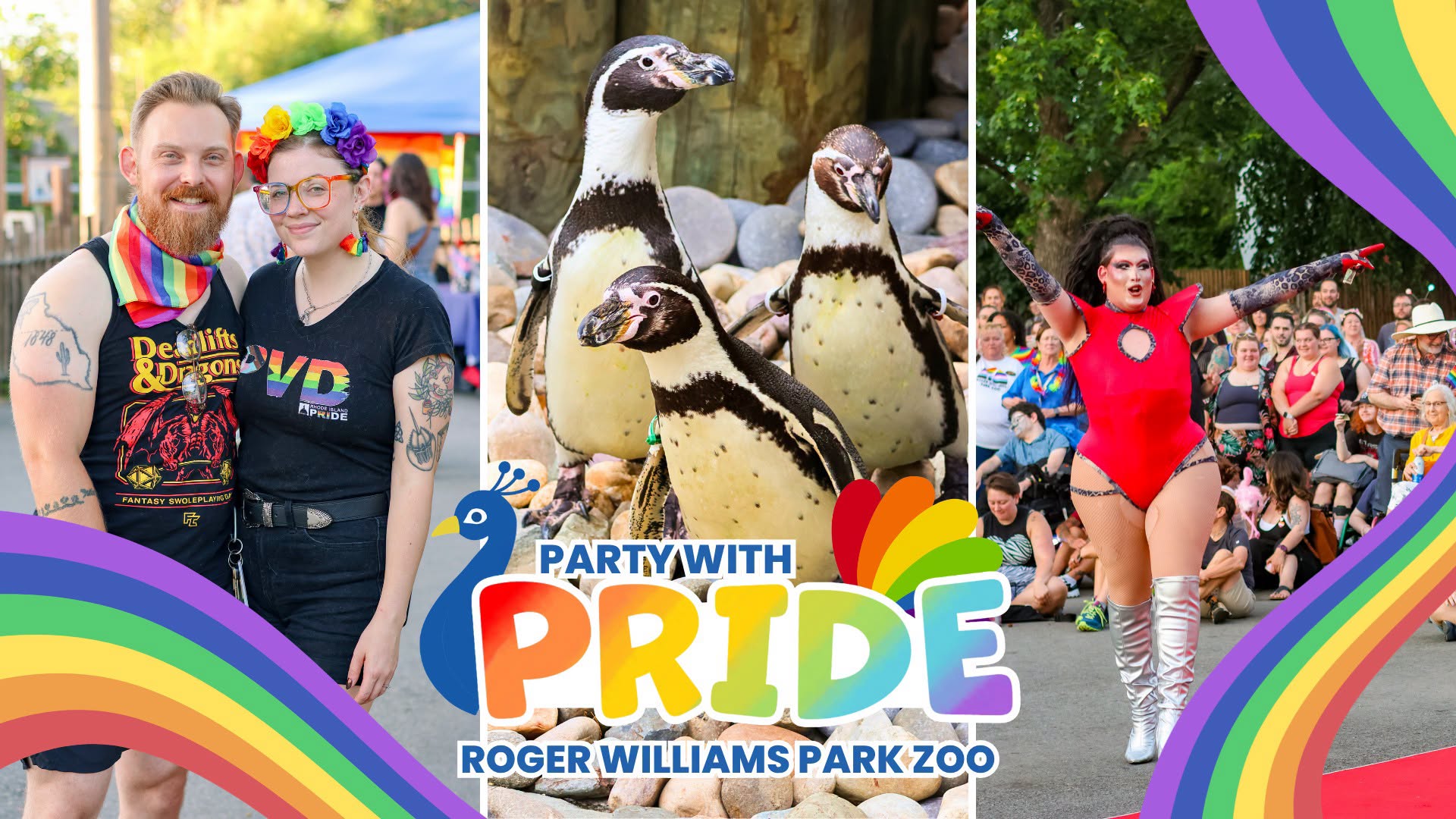 A couple poses in rainbow attire, penguins waddle on rocks, and a performer entertains a crowd at a pride event.